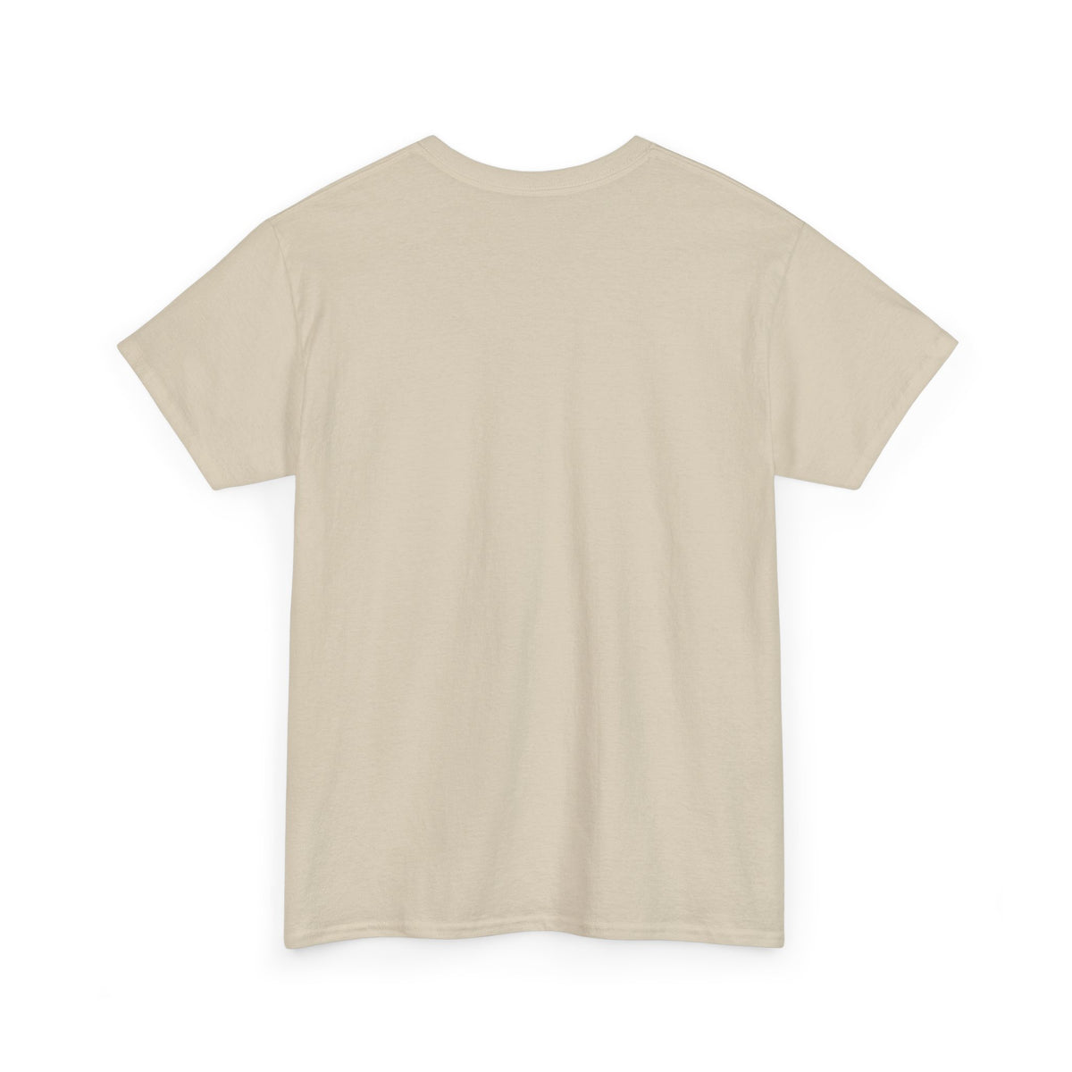 Paid to Be Here. Not to Be Excited. - Employee T-Shirt