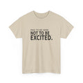 Paid to Be Here. Not to Be Excited. - Employee T-Shirt
