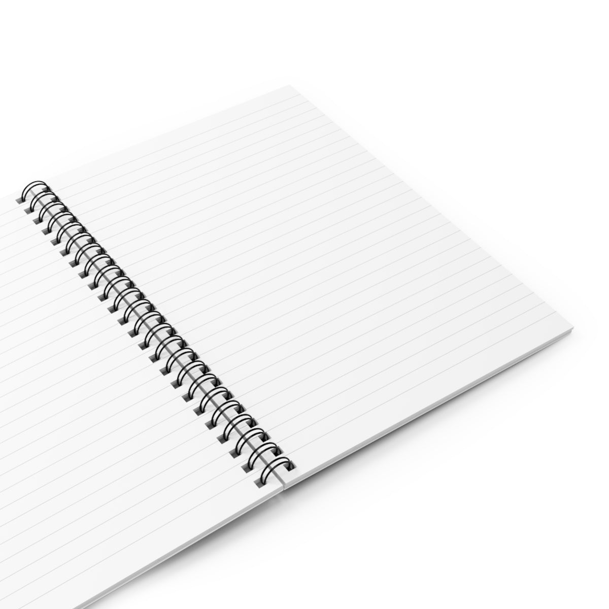 Another Meeting. Still Not a Raise. - Work Notebook